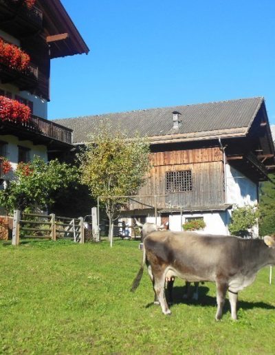 bildergalerie voestlhof suedtirol 22 1